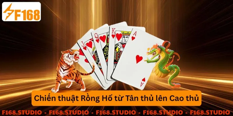 Chiến thuật từ tân thủ đến cao thủ